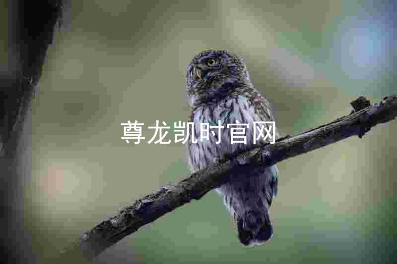 尊龙凯时官网
