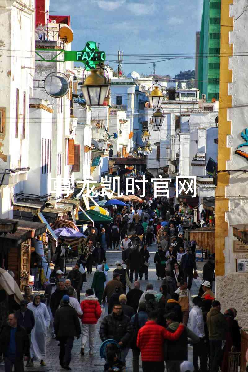 尊龙凯时官网