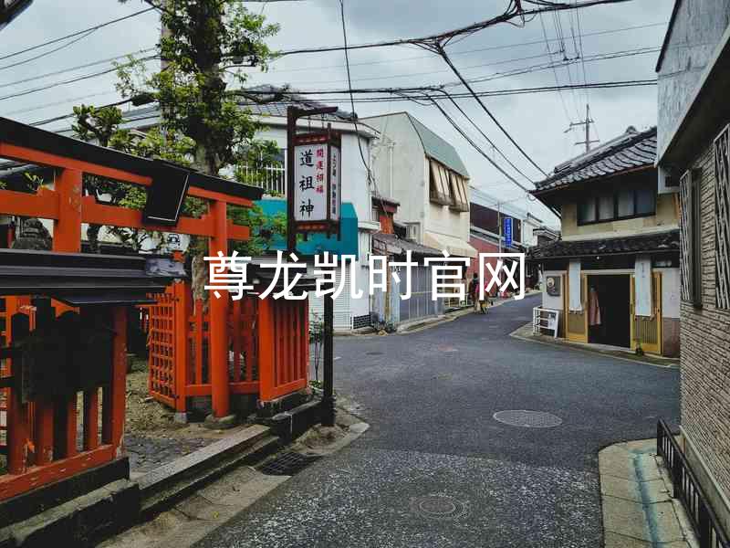 尊龙凯时官网