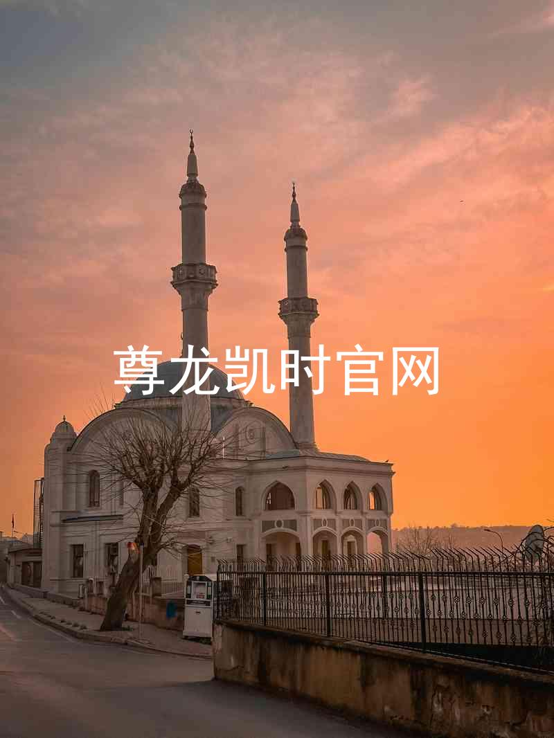 尊龙凯时官网
